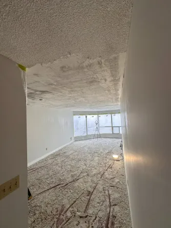 DC Painting & Services Toronto