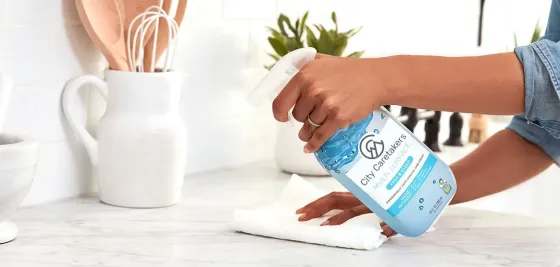 Professional Cleaning Services in Greater Vancouver Vancouver